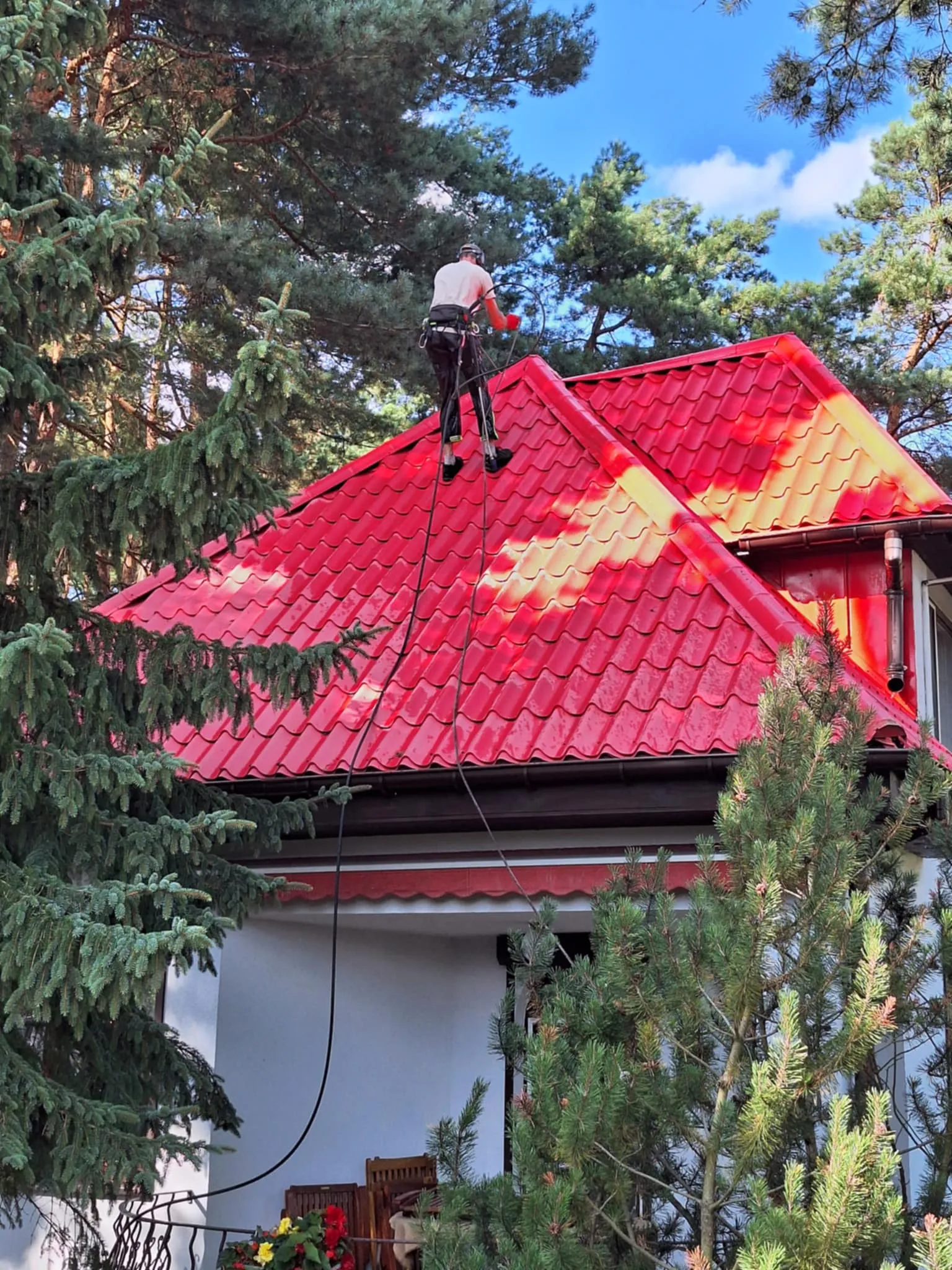 Realizacja Alpistom - wycinka drzew i malowanie dachów