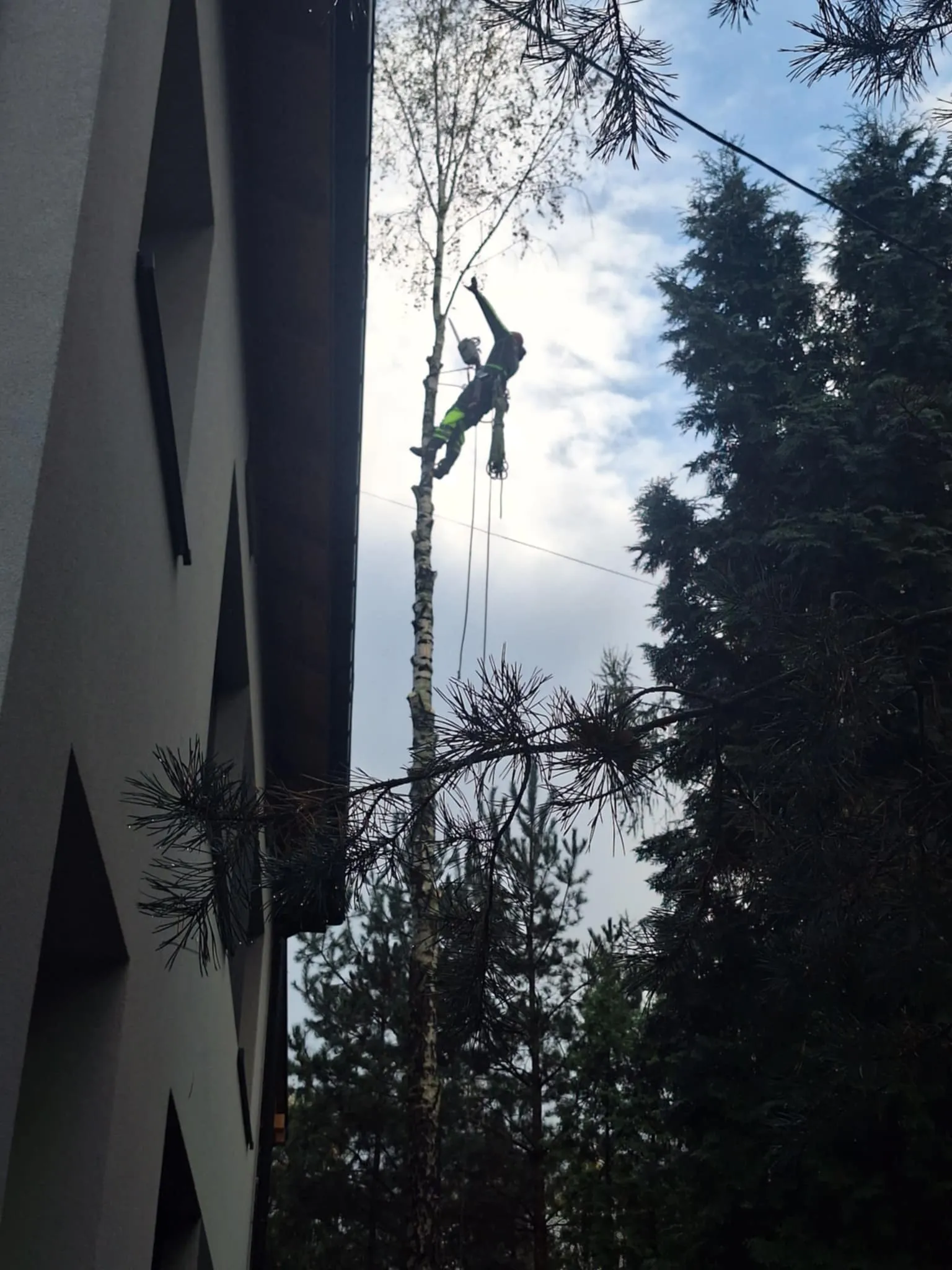 Realizacja Alpistom - wycinka drzew i malowanie dachów