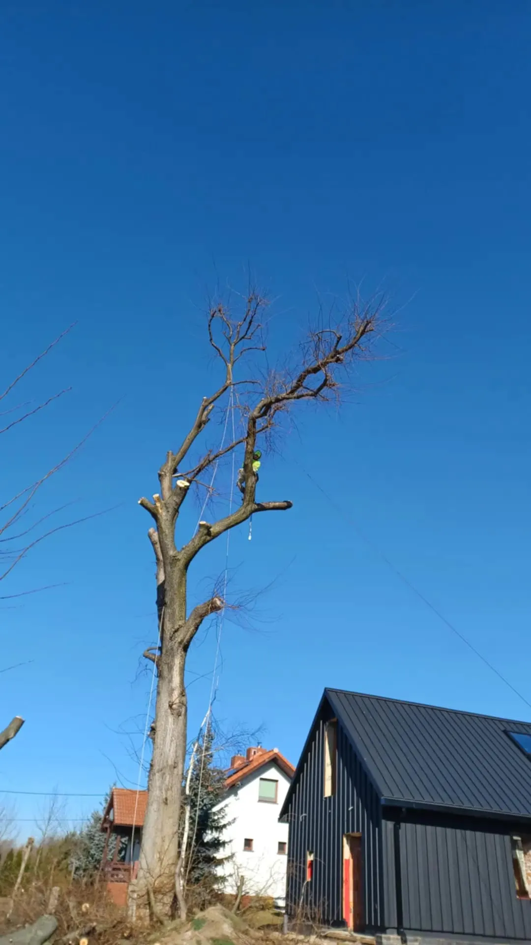 Realizacja Alpistom - wycinka drzew i malowanie dachów