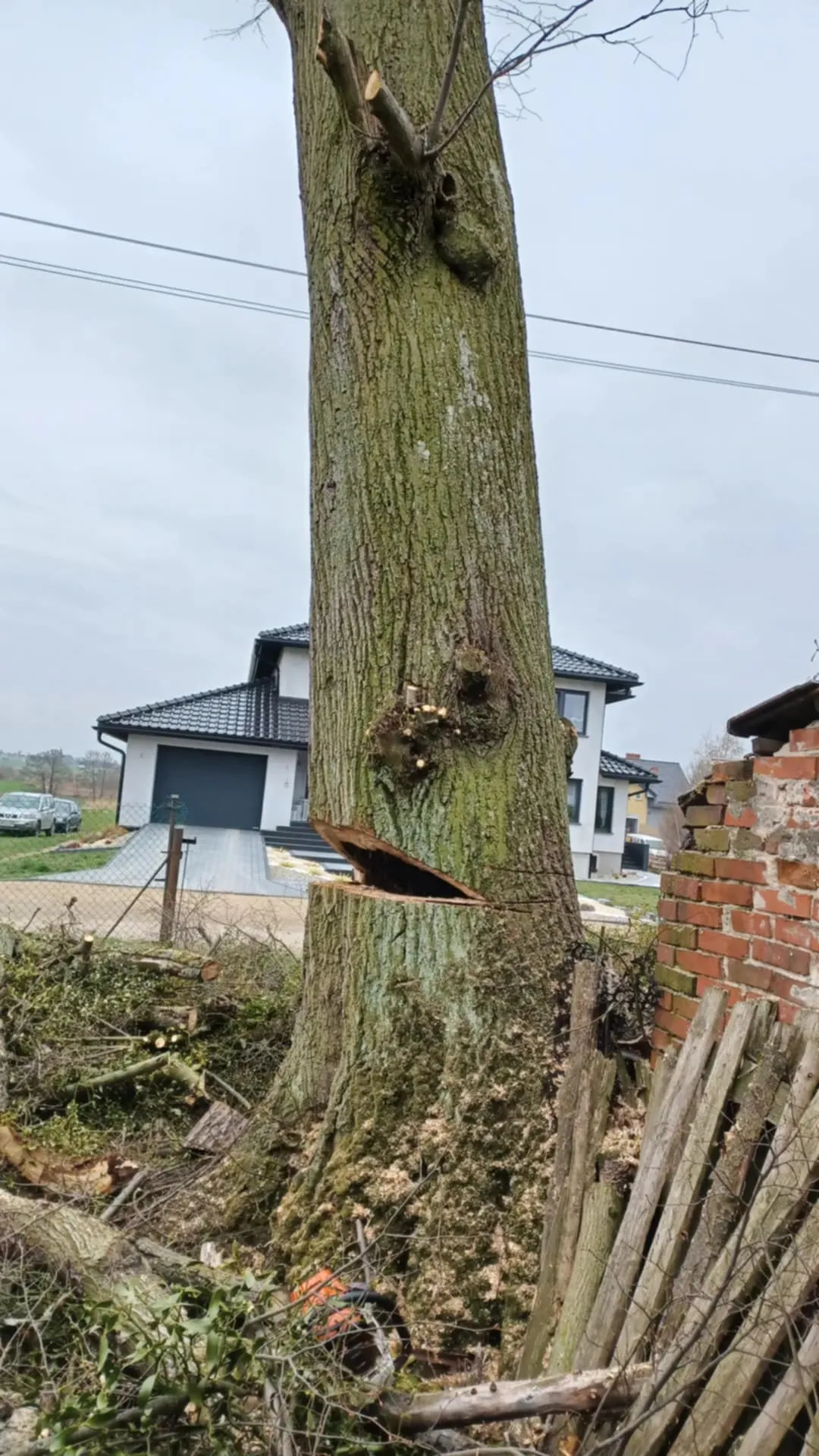 Realizacja Alpistom - wycinka drzew i malowanie dachów