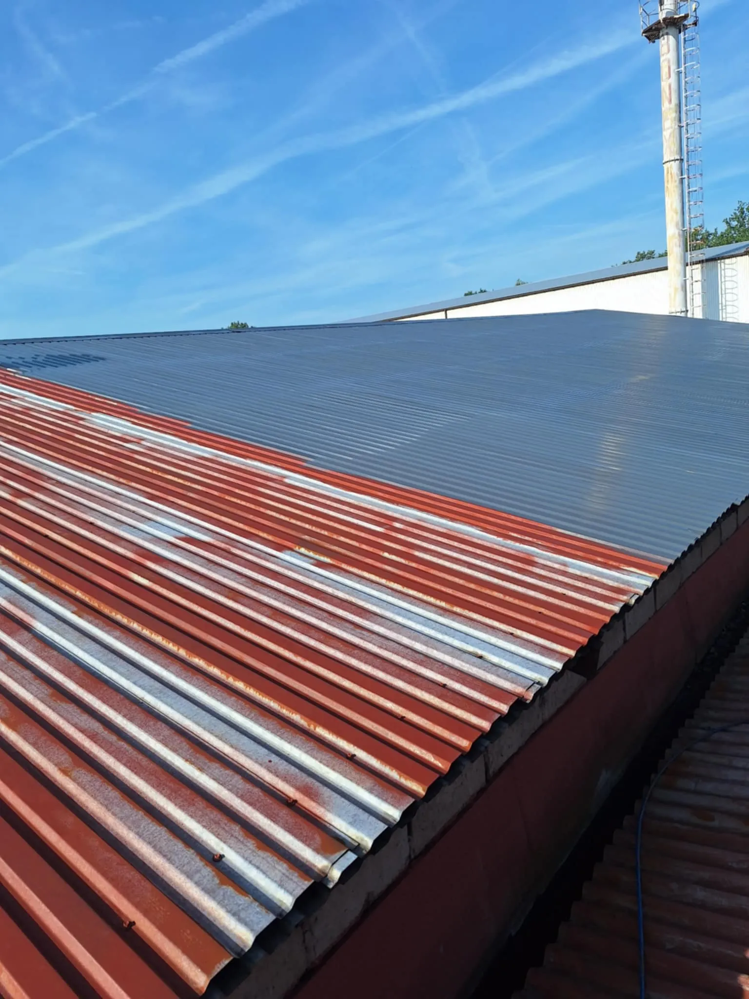 Realizacja Alpistom - wycinka drzew i malowanie dachów