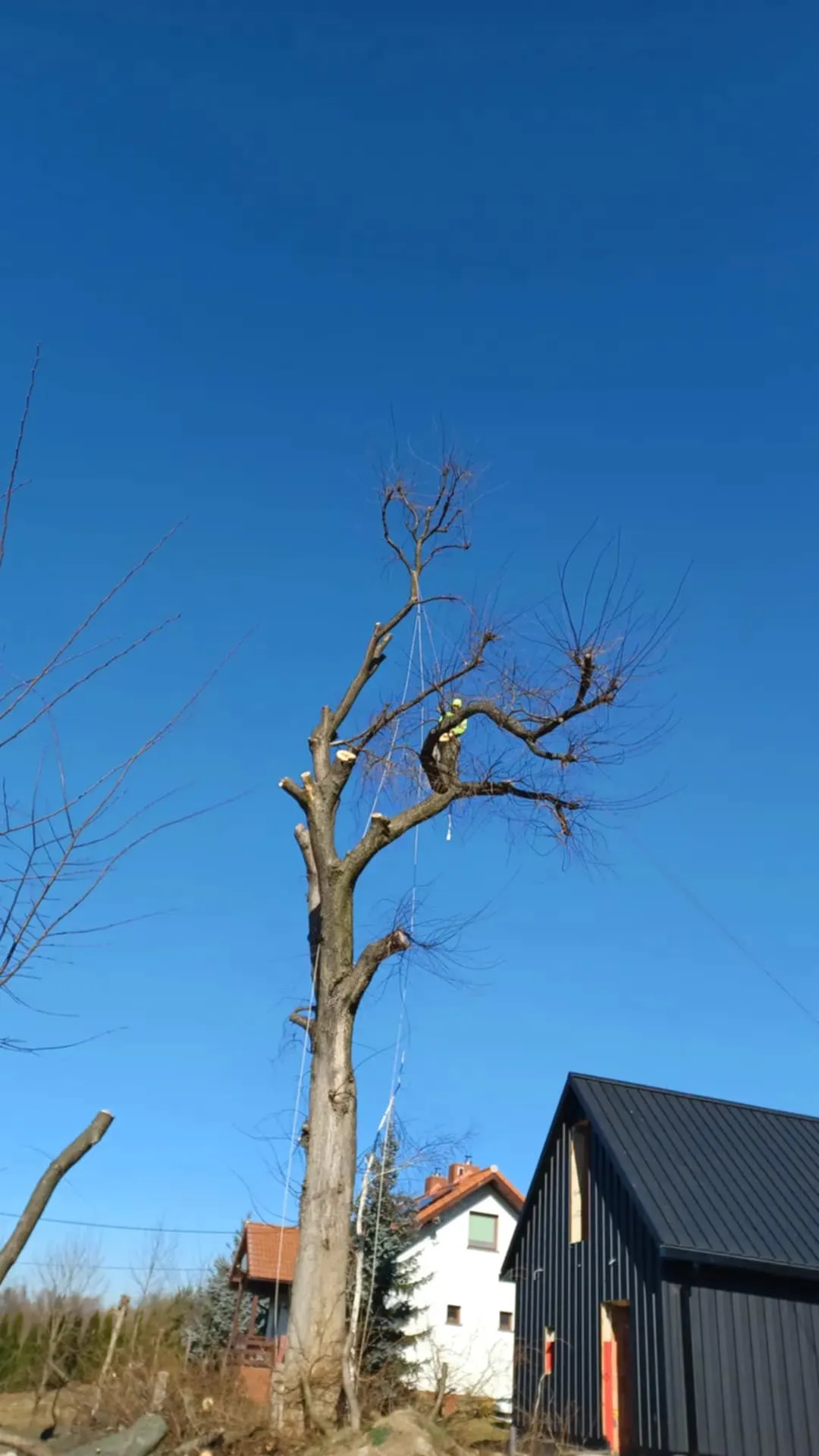 Realizacja Alpistom - wycinka drzew i malowanie dachów