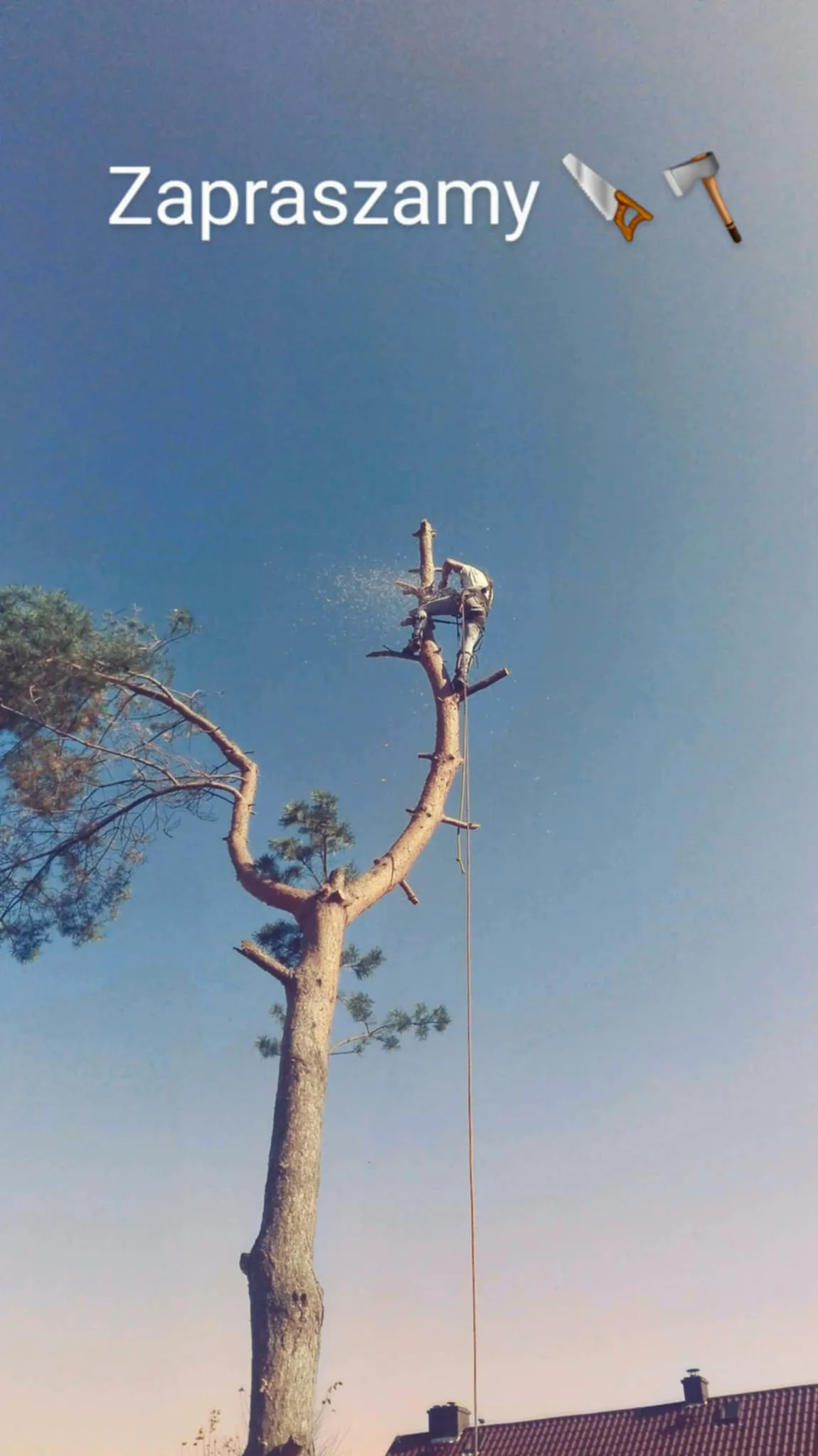 Realizacja Alpistom - wycinka drzew i malowanie dachów