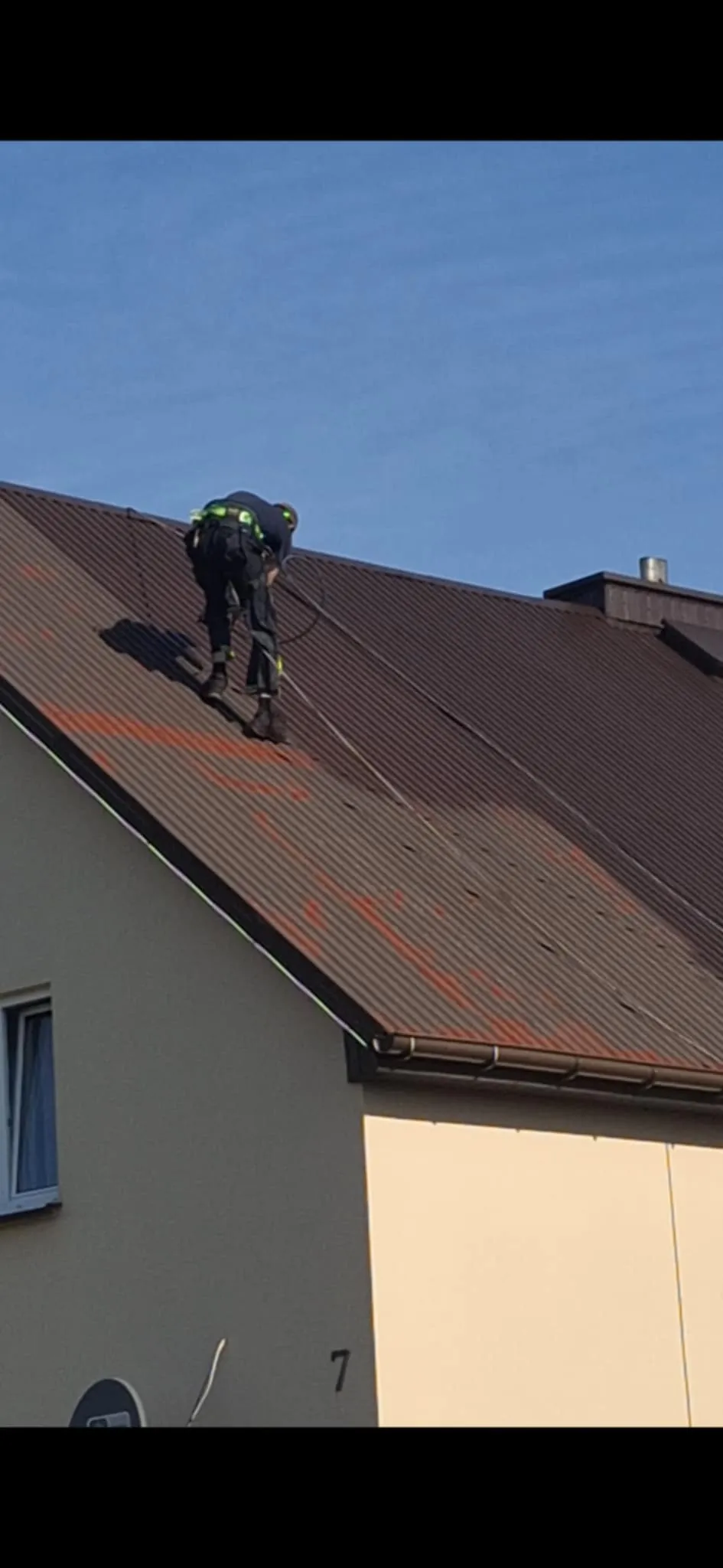 Realizacja Alpistom - wycinka drzew i malowanie dachów