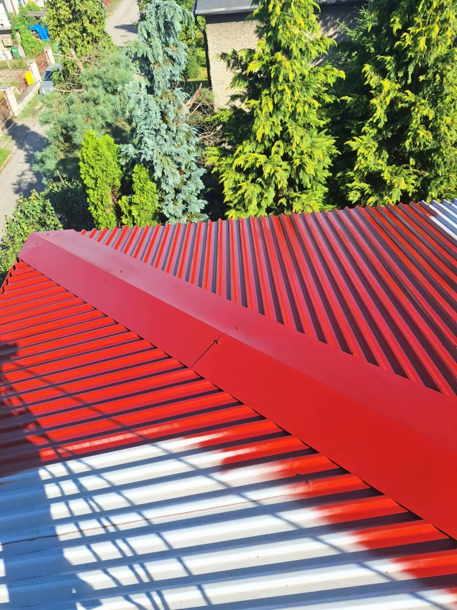 Realizacja Alpistom - wycinka drzew i malowanie dachów