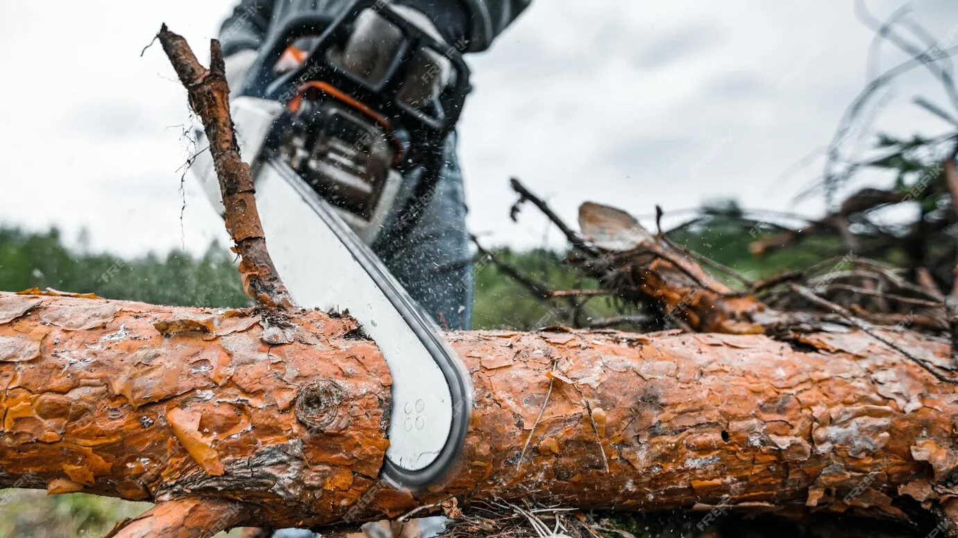 Realizacja Alpistom - wycinka drzew i malowanie dachów